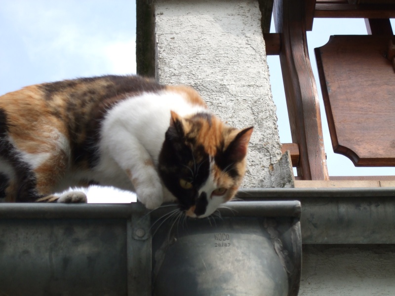 Ostern 2007 Orleshausen 012 